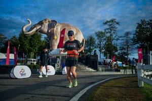 BIB: 
                            <button type="button" onclick="openModal(26541534)" class="btn btn-primary btn-sm float-right btn-popup" data-toggle="modal" data-target=".modal-high-quality">
                        <i class="fas fa-shopping-cart"></i> Add to Cart
                    </button>
                                            <button type="button" onclick="isThisMe(26541534, true)" class="btn btn-success btn-sm float-right btn-popup btn-isme hidden" data-toggle="tooltip" data-placement="bottom" title="นี่คือรูปของคุณใช่ไหม คลิกที่นี่เพื่อเอาเข้าอัลบั้ม">
                        <i class="fas fa-plus"></i> Add to album
                    </button>
                    <button type="button" onclick="isThisMe(26541534, false)" class="btn btn-warning btn-sm float-right btn-popup btn-isnotme hidden">
                        <i class="fas fa-ban"></i> Remove from album
                    </button>